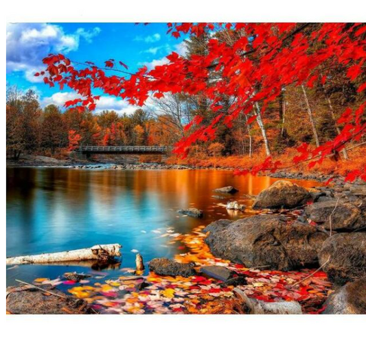 A Season of Fall - DIY Painting by Numbers Kit Art Gift Set