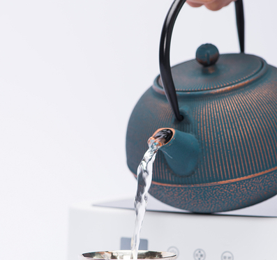 Japanese Palace Style Cast Iron Popular Tea Kettle
