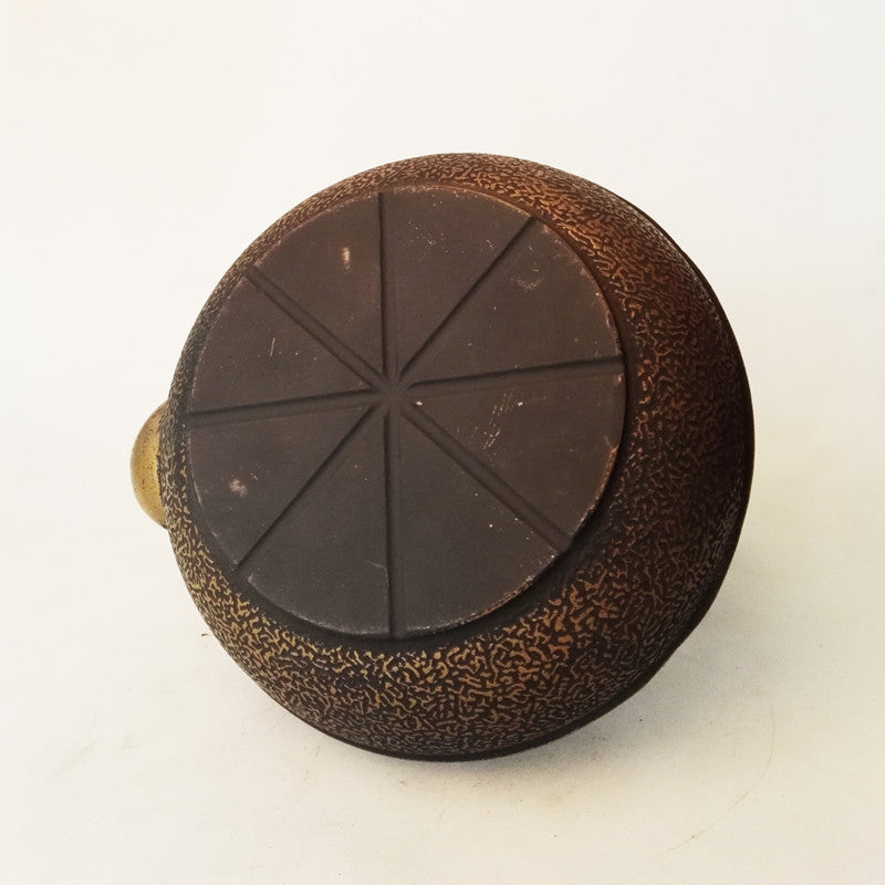 Cast Iron Kettle with Strainer for Tea