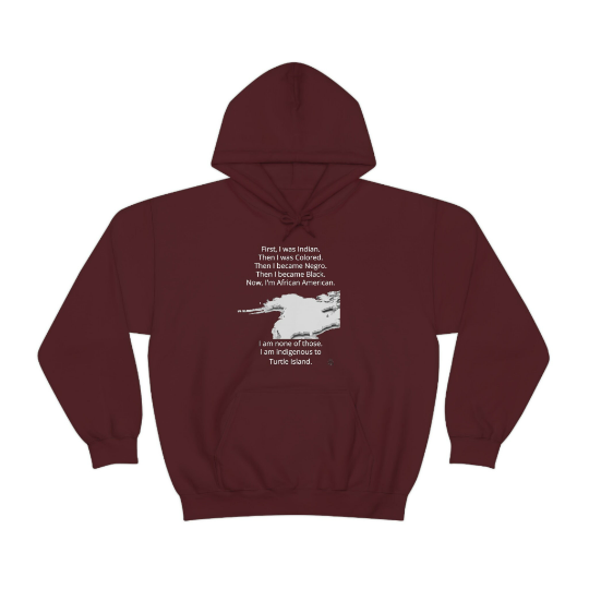 Aboriginal American Niiji Indigenous People Unisex Black T Shirt AmerIndian Cultural Awareness Movement Hooded Sweatshirt