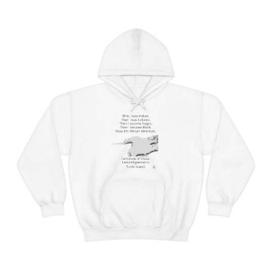 Aboriginal American Niiji Indigenous People Unisex Black T Shirt AmerIndian Cultural Awareness Movement Hooded Sweatshirt