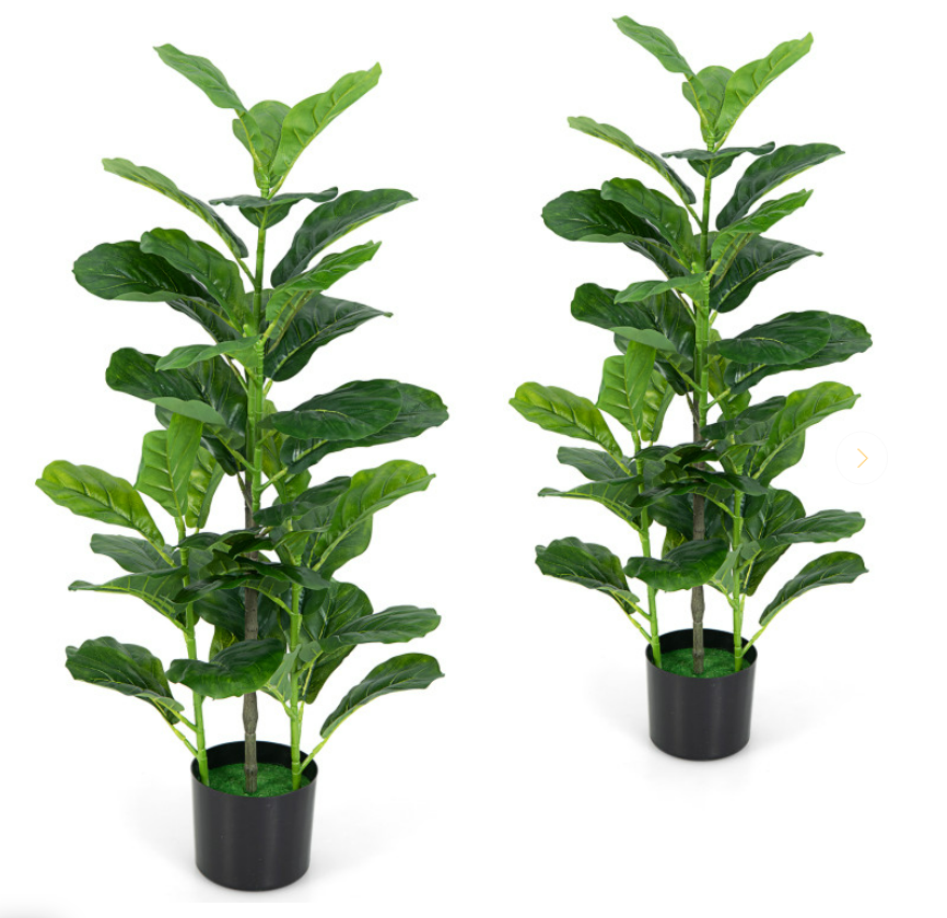 Artificial Plants and Stands