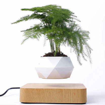 Magnetic Floating Bonsai Floating Plant Rack, Fashion Creative Gifts, Christmas Or Birthday Gifts