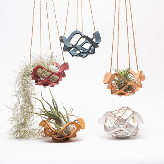 Indoor Green Plants And Flowers Gardening Hanging Basket