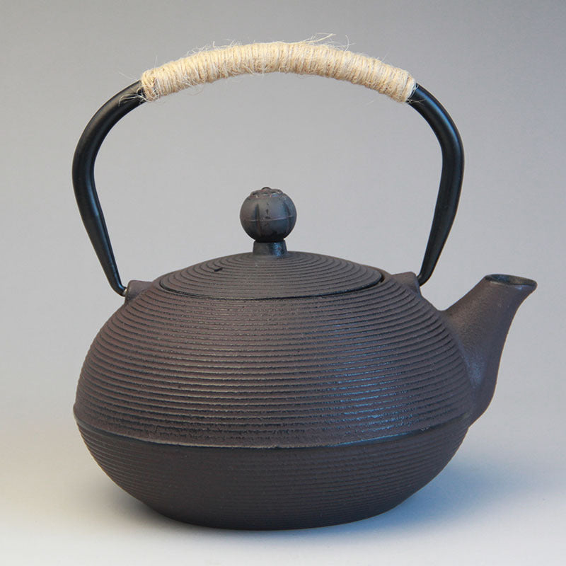 Cast Iron Kettle Boiling Water Tea Japanese Teapot Tea Set
